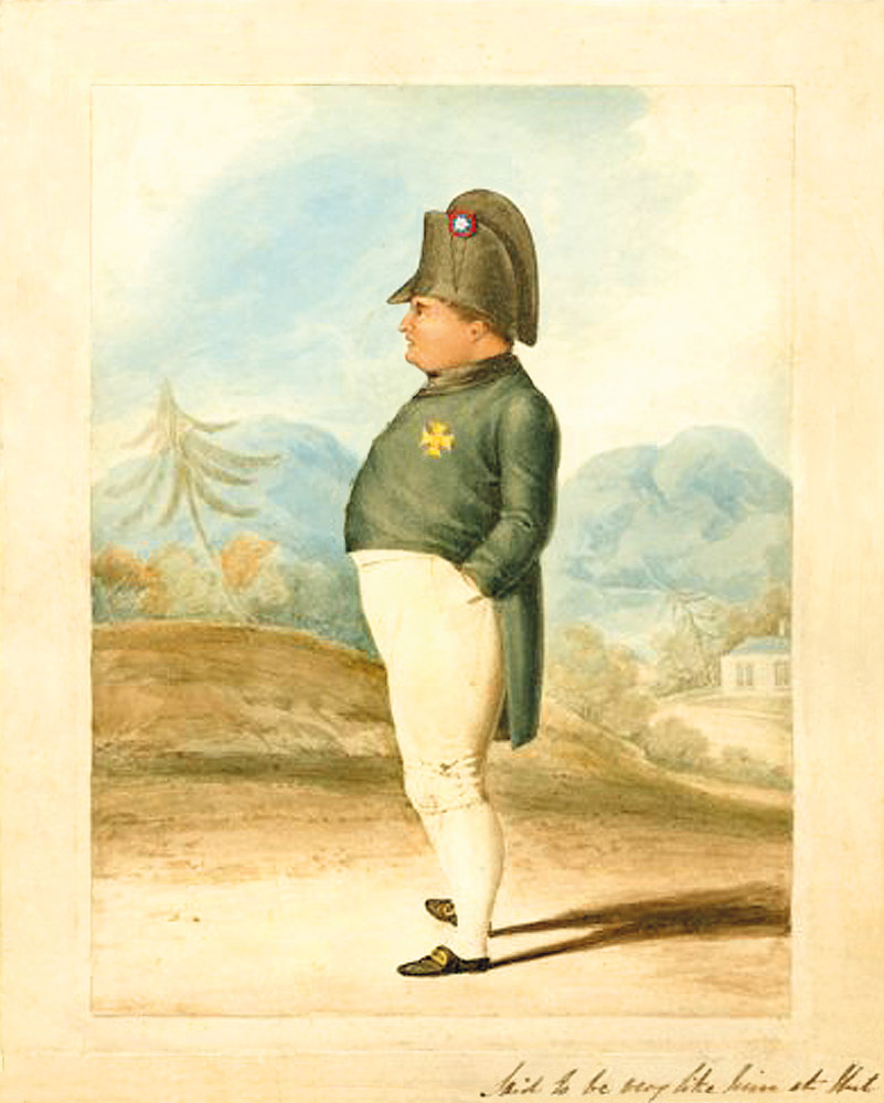 Napoleon auf Helena