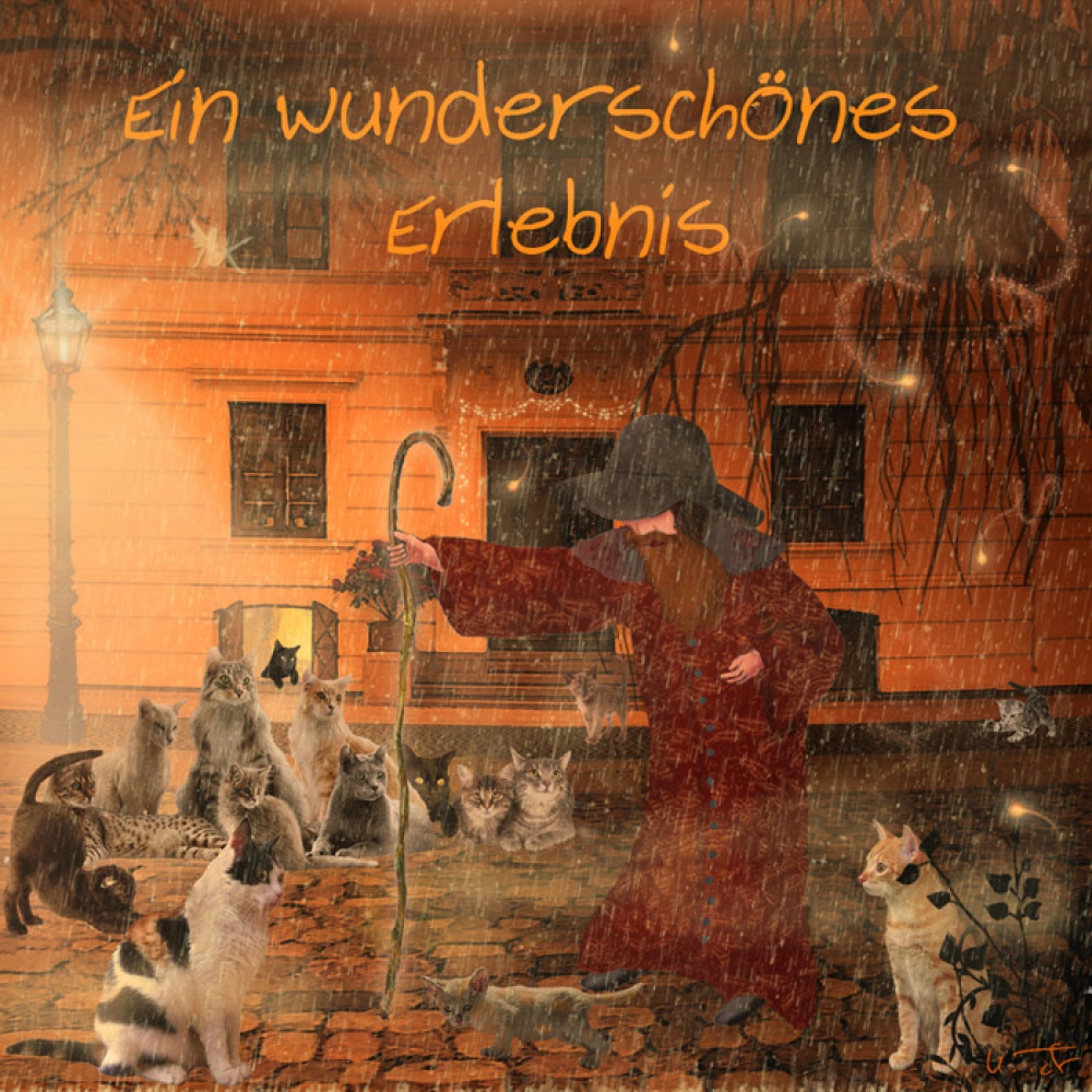 Bambule bei Jule – Bild 4