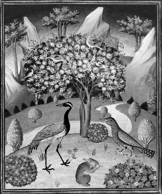 JohannisMond illustration 10