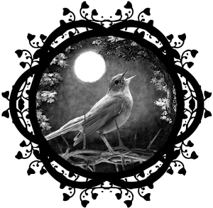 JohannisMond illustration 46